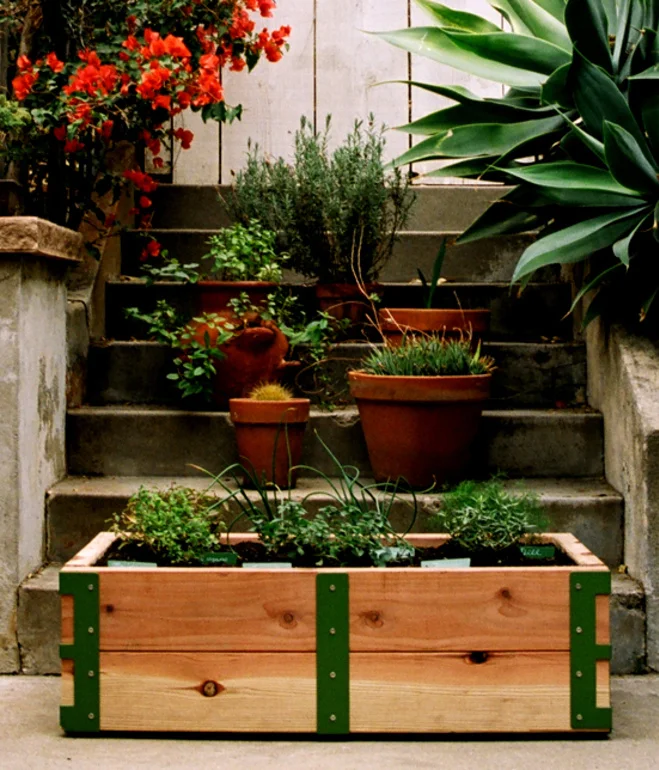 reform-school-patio-garden_revision copy