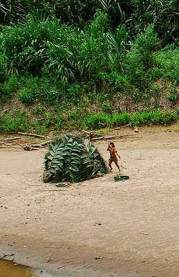 uncontacted-mashco-piro-indian-woman-spotted-from-the-air-s.e.-peru-2007.jpg