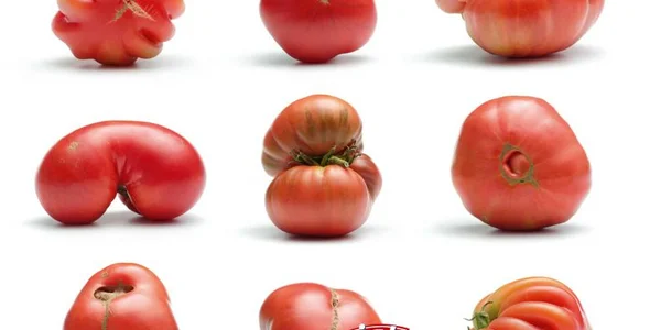 There is a huge “sustainable” evolution happening in supermarkets around the world. From (green) juice bars, free tasting, online shopping support by local staff to health and wellness hubs, content curators and community portals. Shape-shifting supermarkets are repositioning themselves as culturally and socially relevant organizations that can fulfill a great number of modern consumer needs. Read More