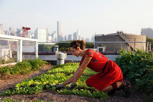 http://semidomesticated.com/2011/04/city-farmers/