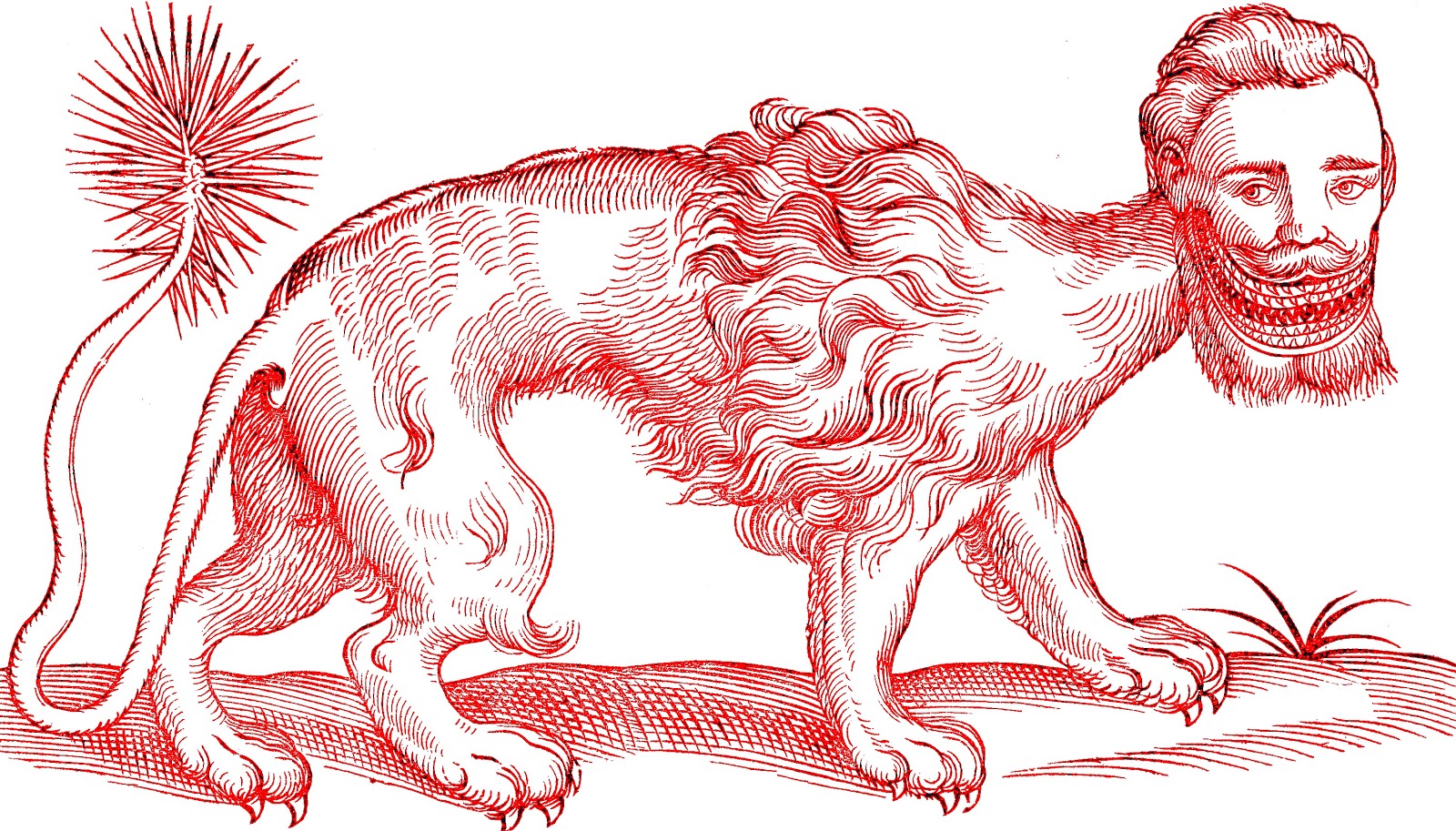 A Manticore, Edward Topsell 1607