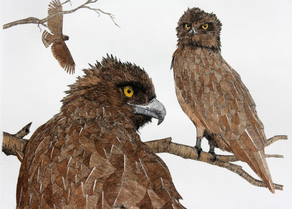 'Brown Snake Eagles'