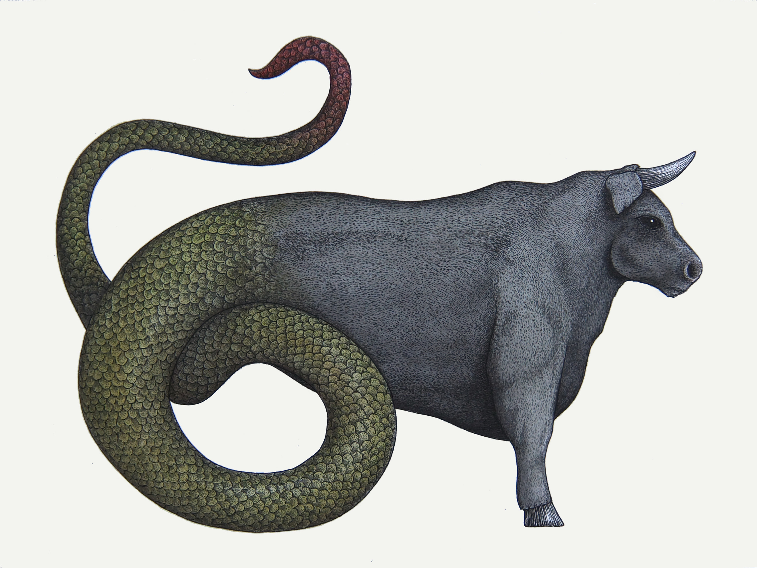 ‘The Ophiotaurus’