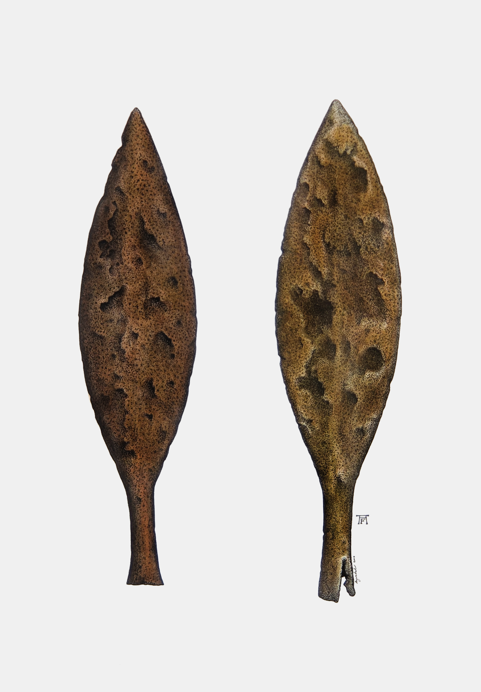 'Iron Spearheads (Dory)'