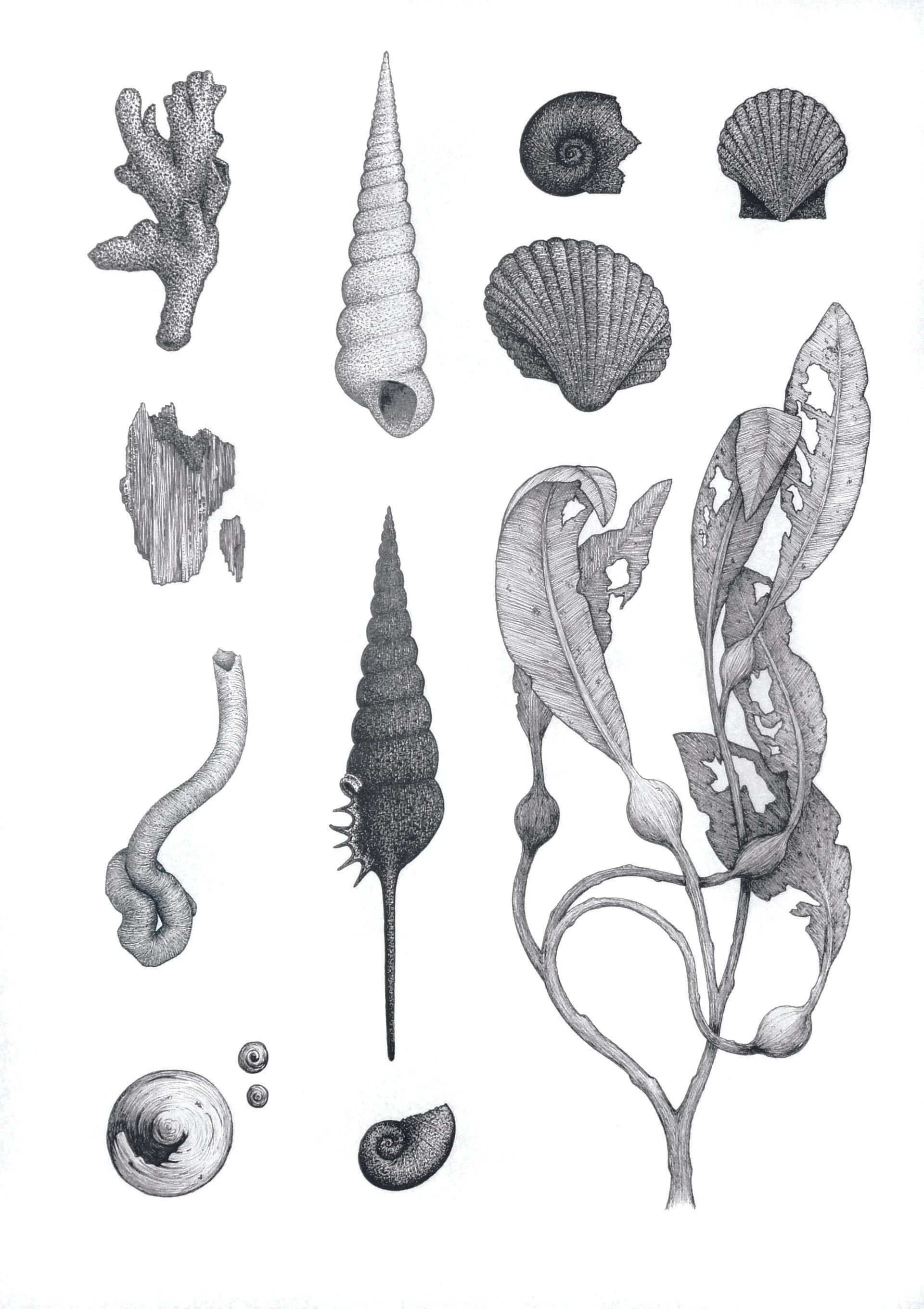 'Ocean Studies #1'