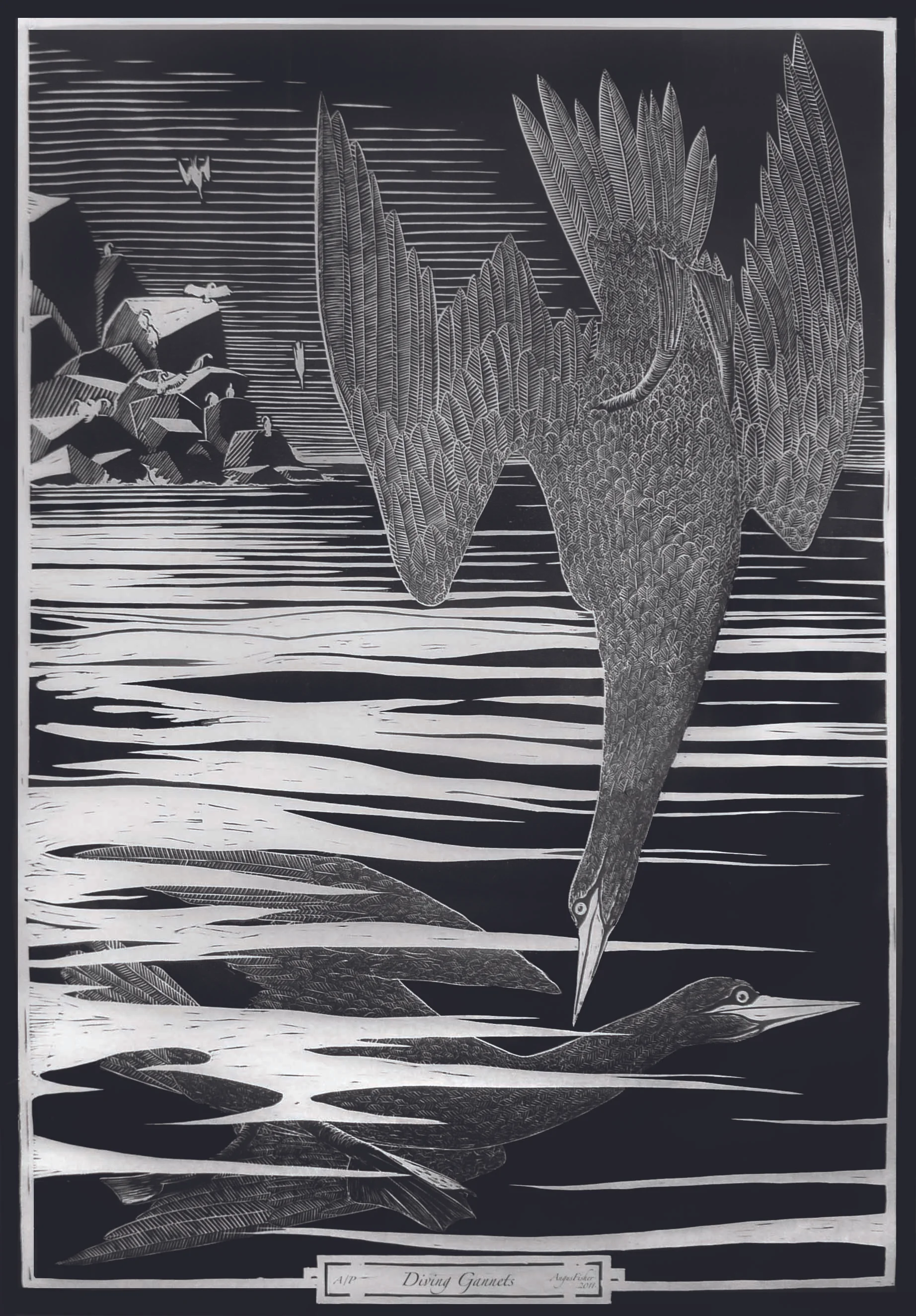 'Diving Gannets'