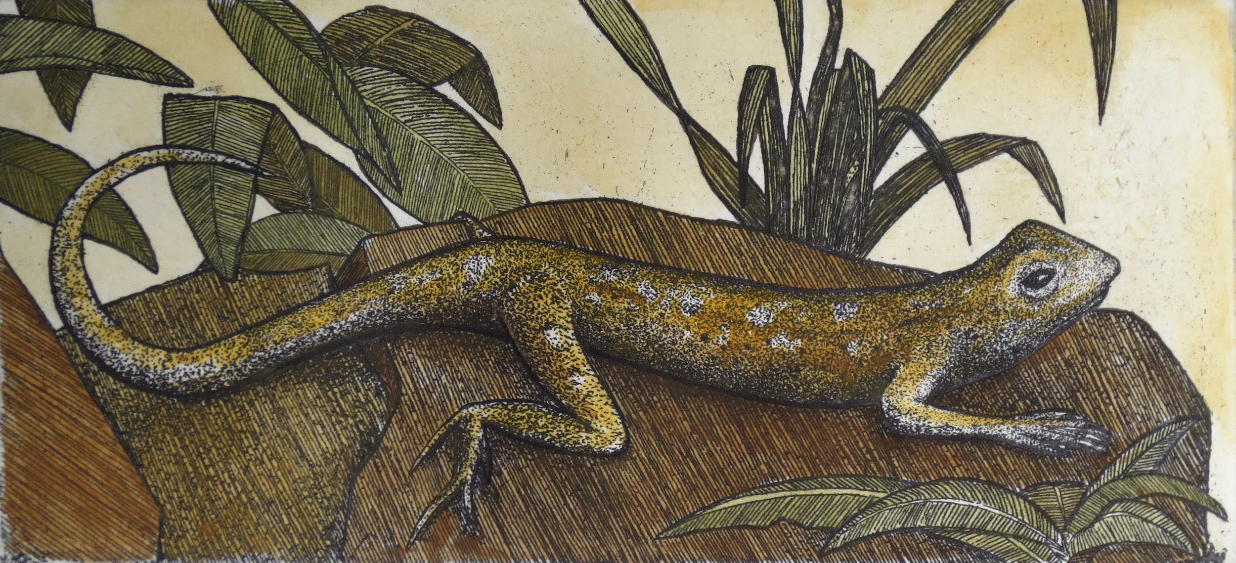 'Sand Dragon'