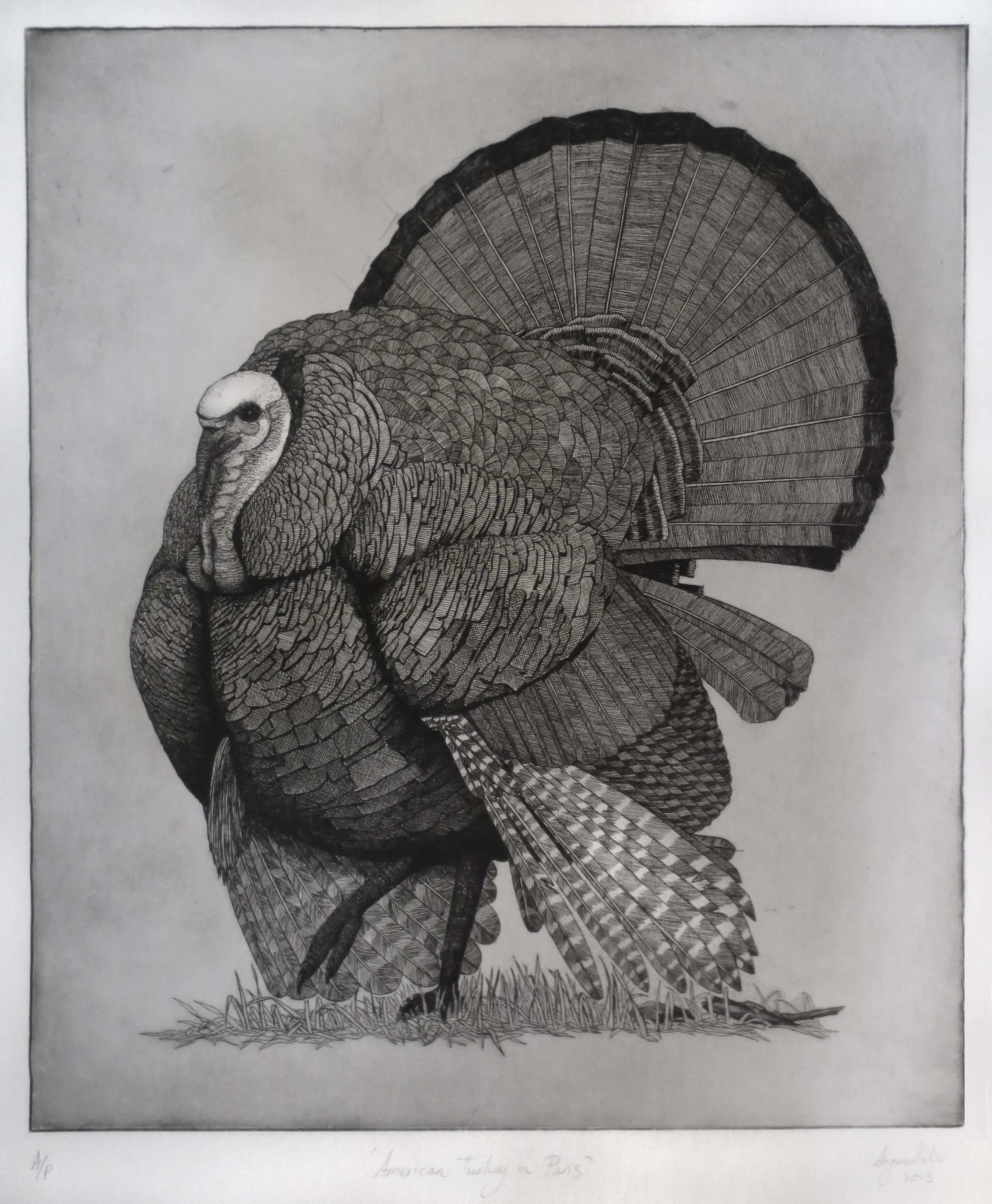 'American Turkey in Paris'