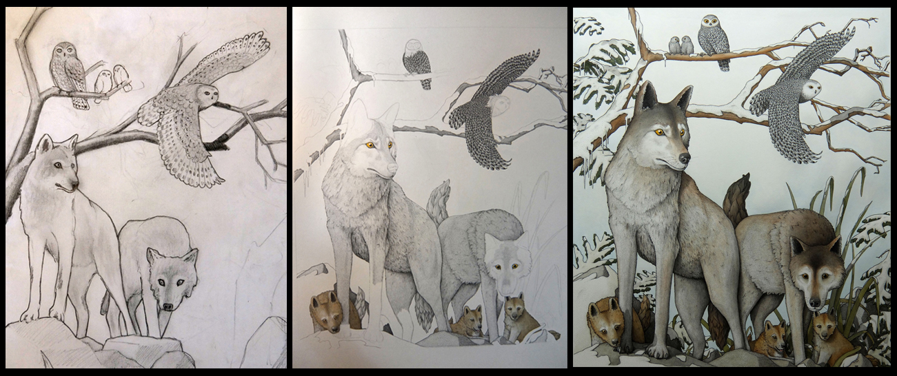 'Arctic Wolves and Owls' commission in various stages of completion: sketch, mid way and finally complete.