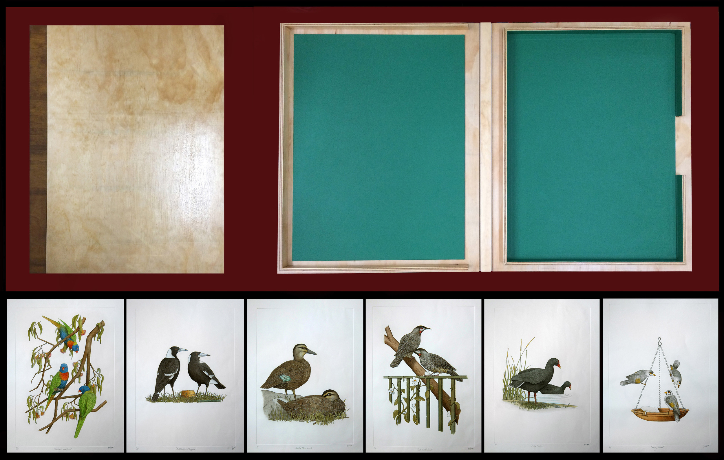 'The Birds of New Holland' Folio