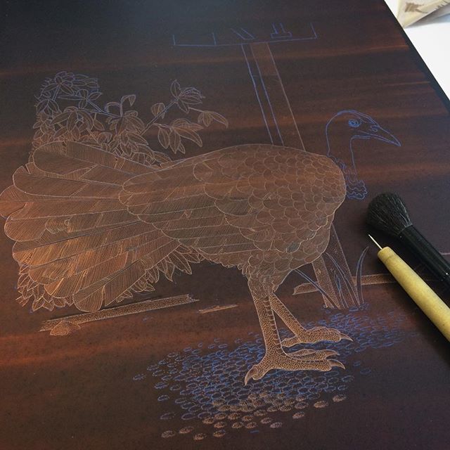 'Australian Brushturkey' etching in progress. #etching #printmaking #print #intaglio #copper #copperplate #hardground #brushturkey #bushturkey #turkey #bird #sydneybird #art #fineart #angusfisher