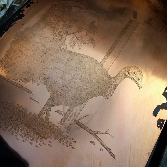 Cleaning the hard-ground off my latest etching 'Australian Brushturkey' after taking it out of the acid bath. Quite happy with how this one has turned out so far. #etching #print #printmaking #hardground #intaglio #etch #copper #australianbirds #brus