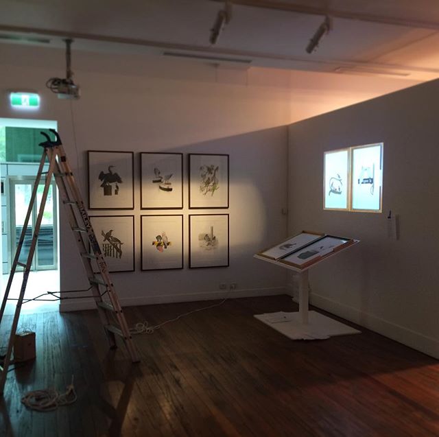 Setting up my work for The National Art School's 2017 Postgraduate Exhibition - opening next Thursday 2nd November 6-10pm. I'll be presenting my 'Birds of New Holland' folio which I've been working on for the past two years. After the opening night, 