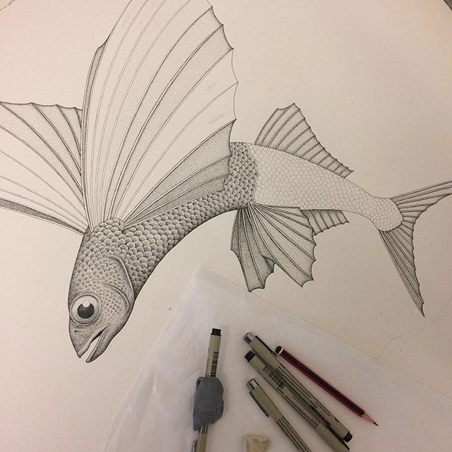 I started this drawing yesterday of a 'Flying Fish' alongside some diving birds. Feels good to get back to some drawing after focusing on printmaking for so long. I've been thinking about this one for a while, glad to get started on it. #drawing #pen