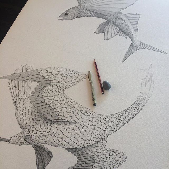 Swimming birds and flying fish all coming together in this big drawing I'm working on. All this detail is done with a pen and when that's all finished I'm going to add some colour over the top with washes of watercolour paint. #drawing #pendrawing #p