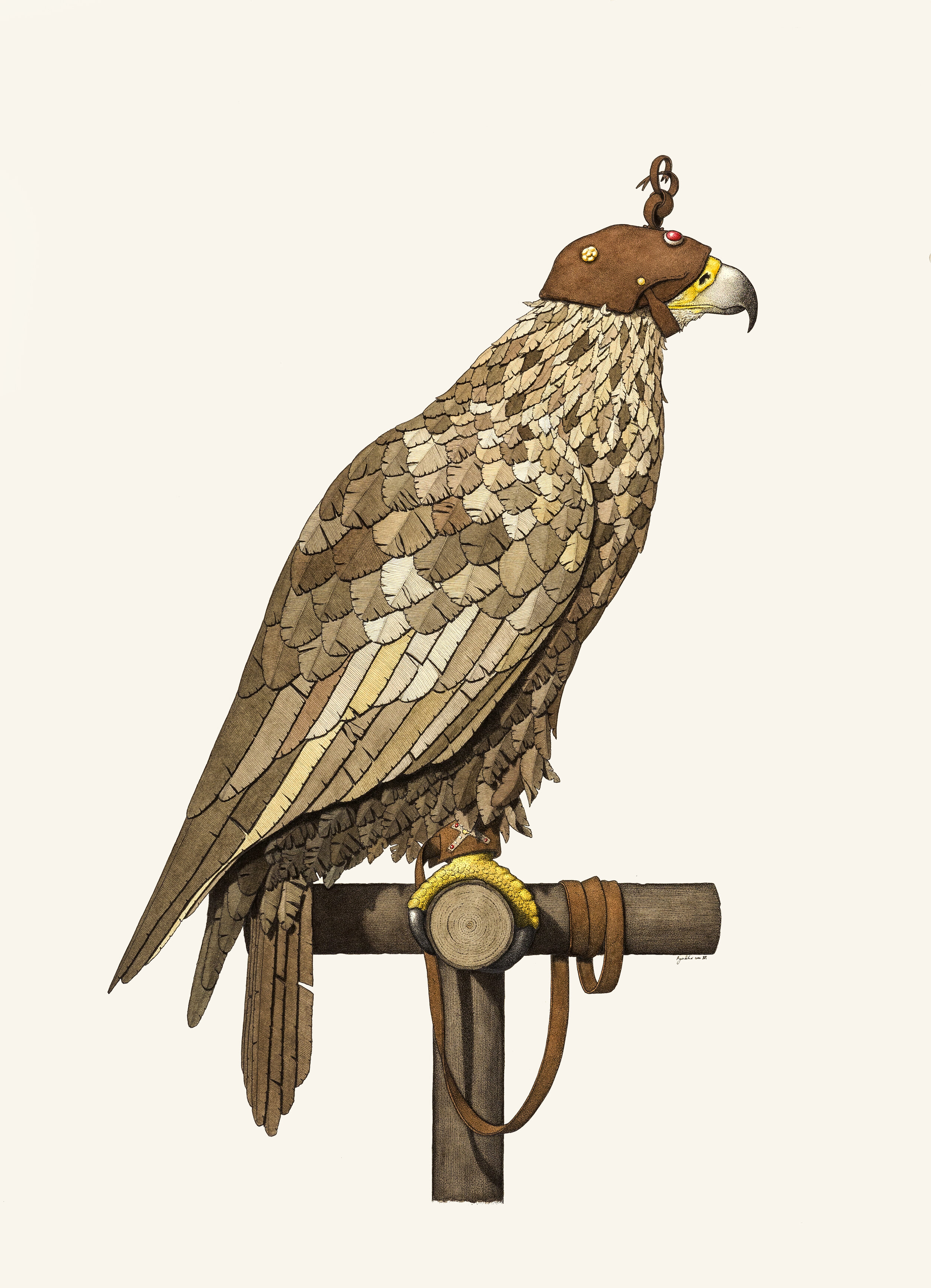 'The Berkut Eagle'