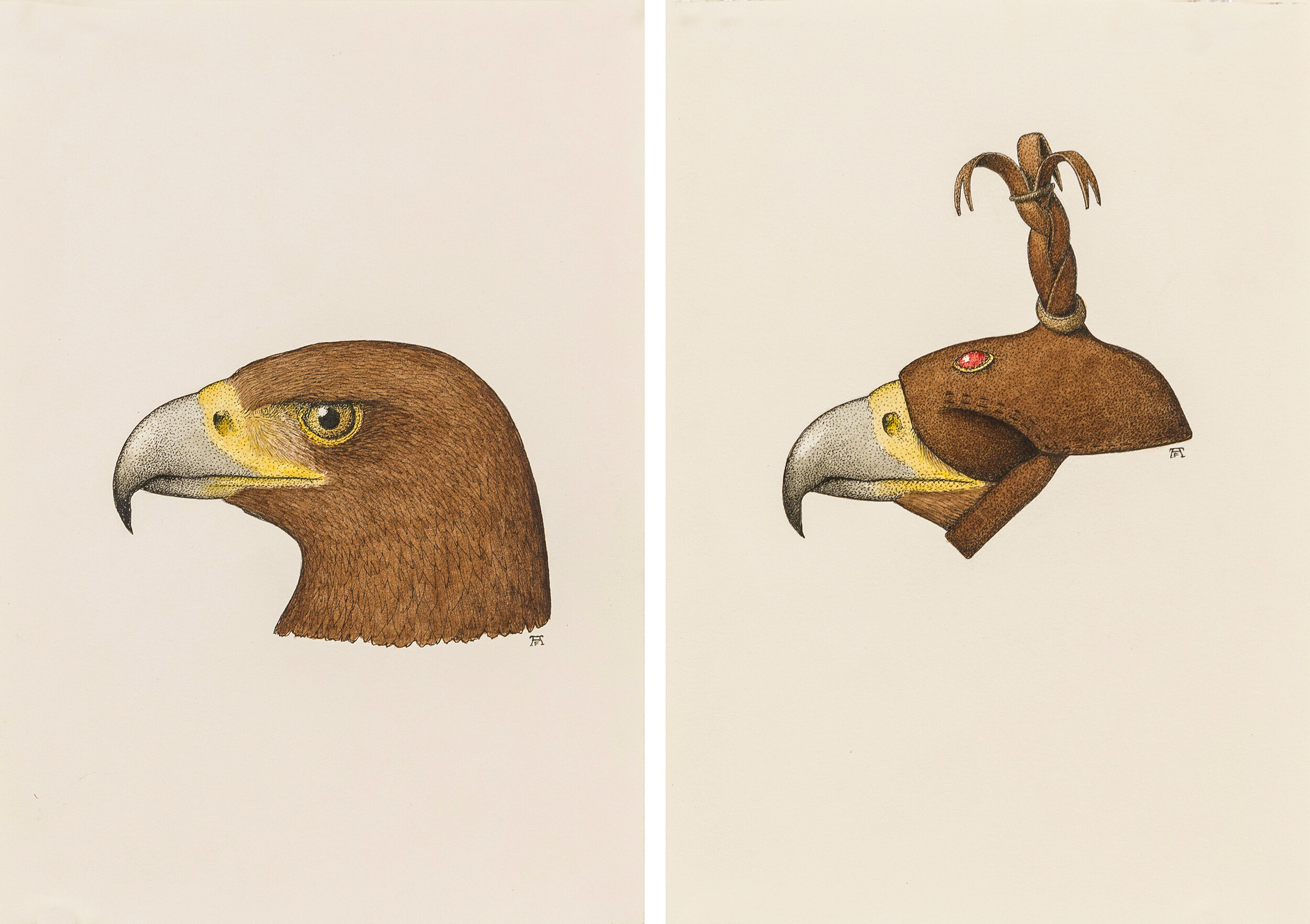 'Golden Eagle Portrait' + 'Golden Eagle Hood'