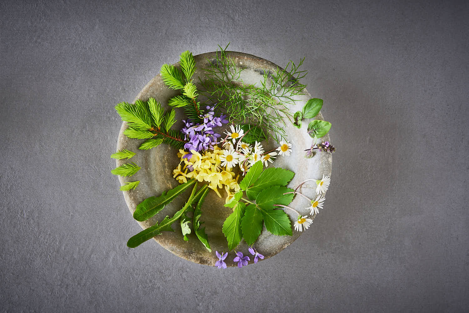 Sauerhonig, auch Oxymel genannt mit Frühlingspflanzen