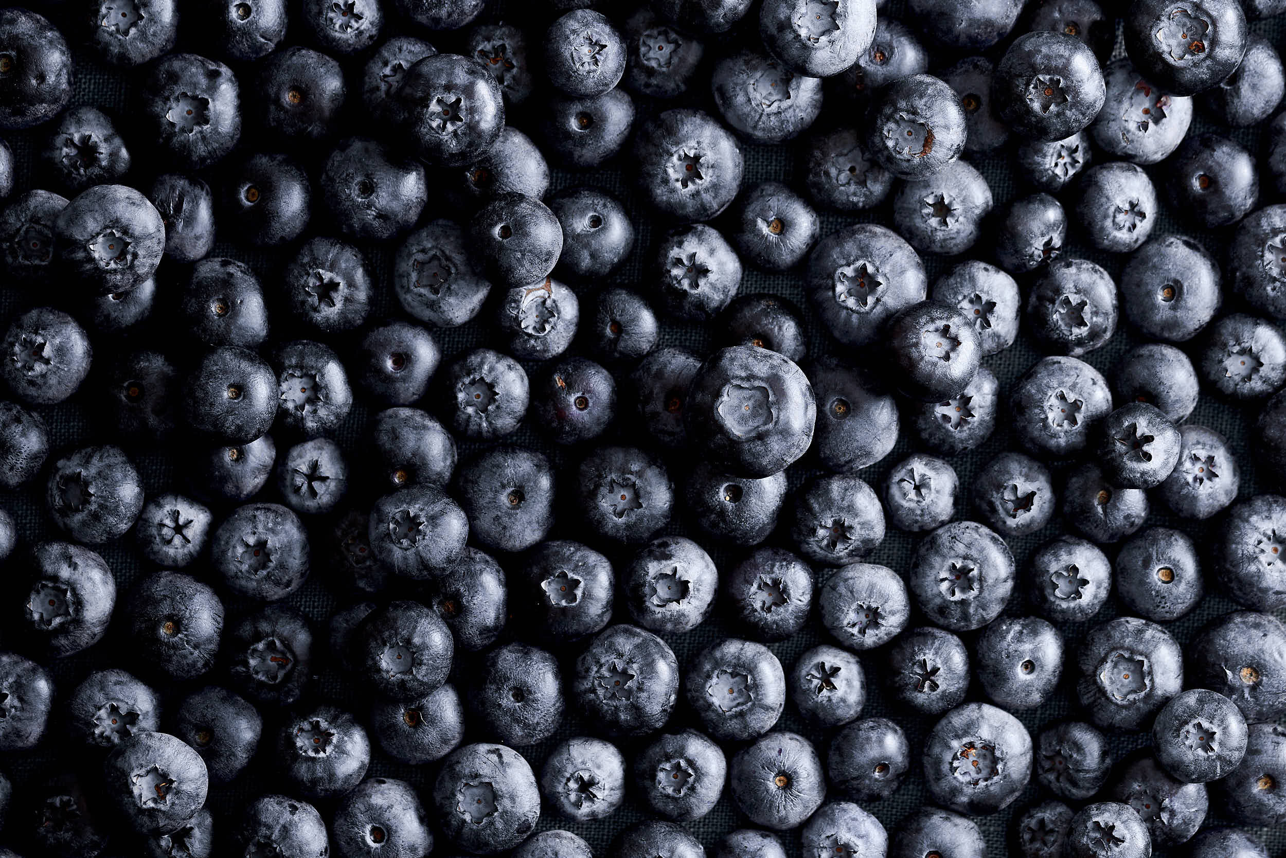 Blaubeeren / Heidelbeeren - Wirkung, Vitamine und Rezepte I ROSEN & KOHL