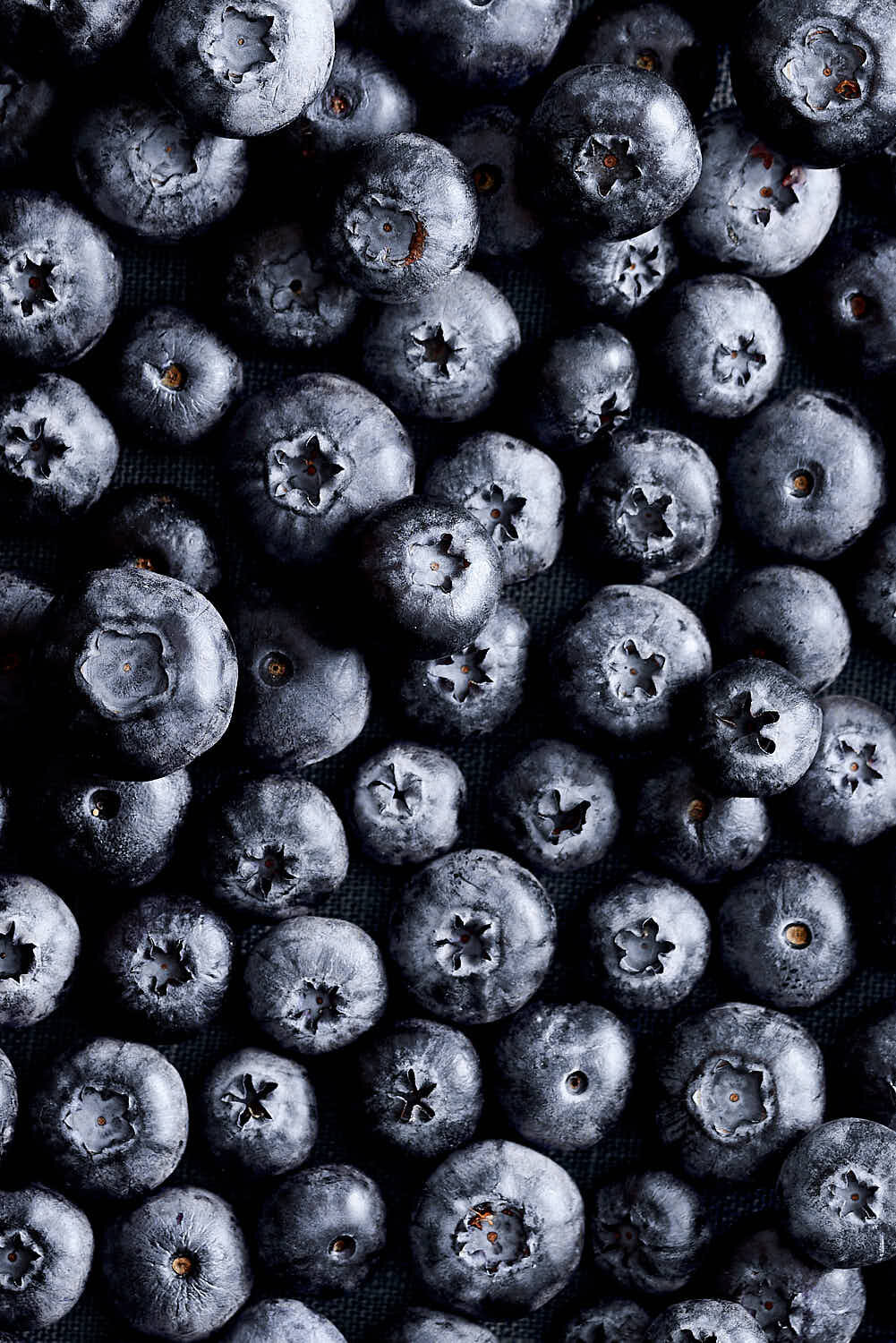 Blaubeeren-vegan-gesund-heimisch