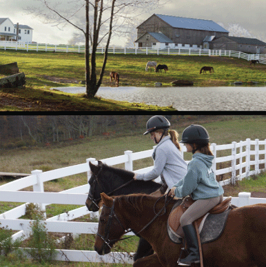 Bridle Hill Farm