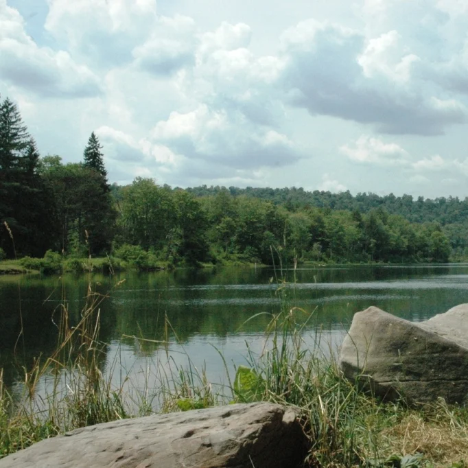 Crystal Lake Wild Forest