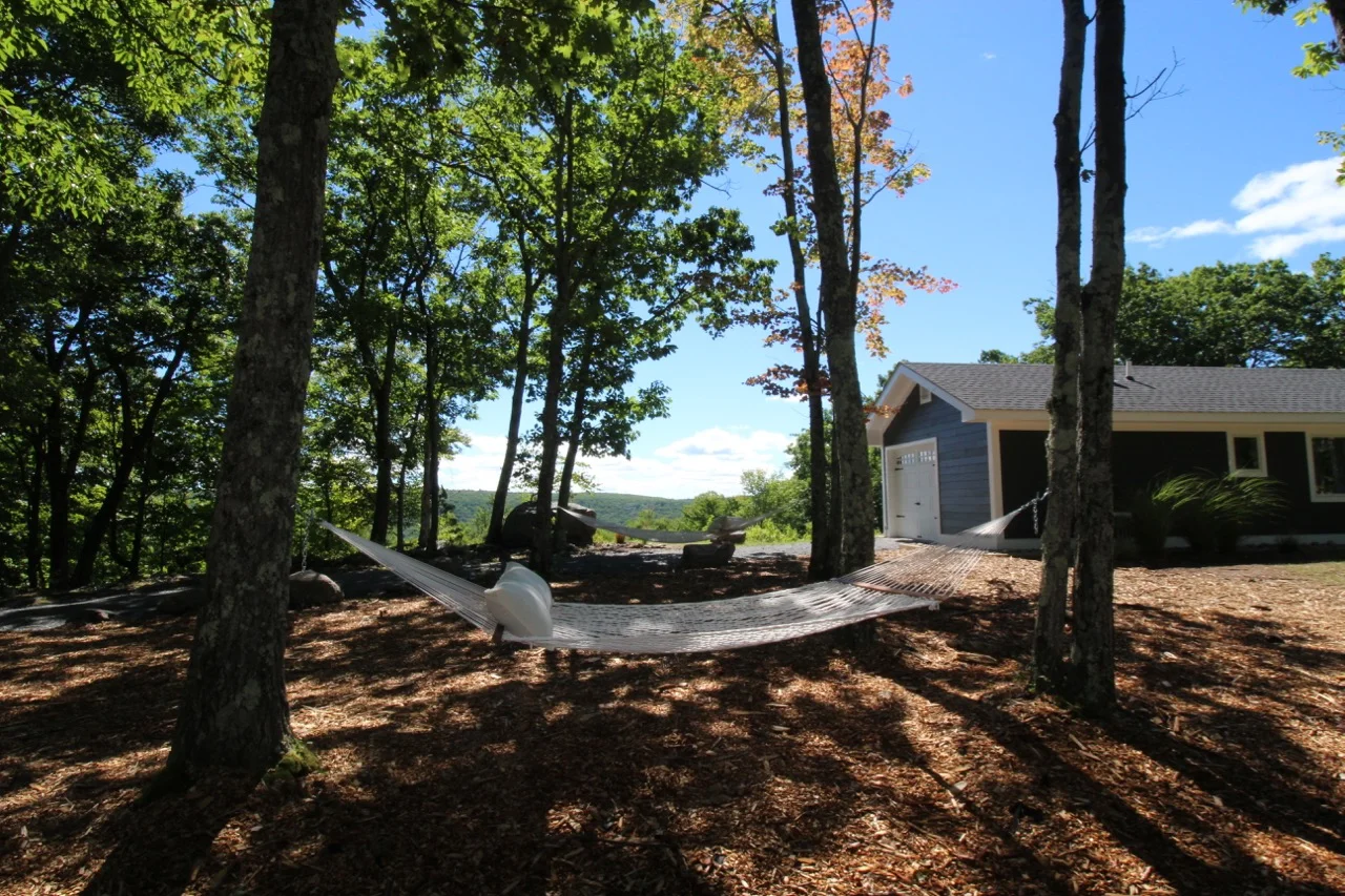 IMG_1007.jpg