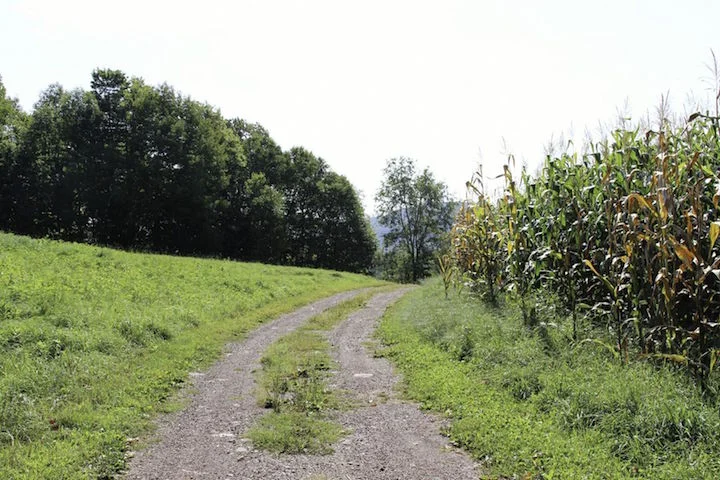 unspecified-31.jpg