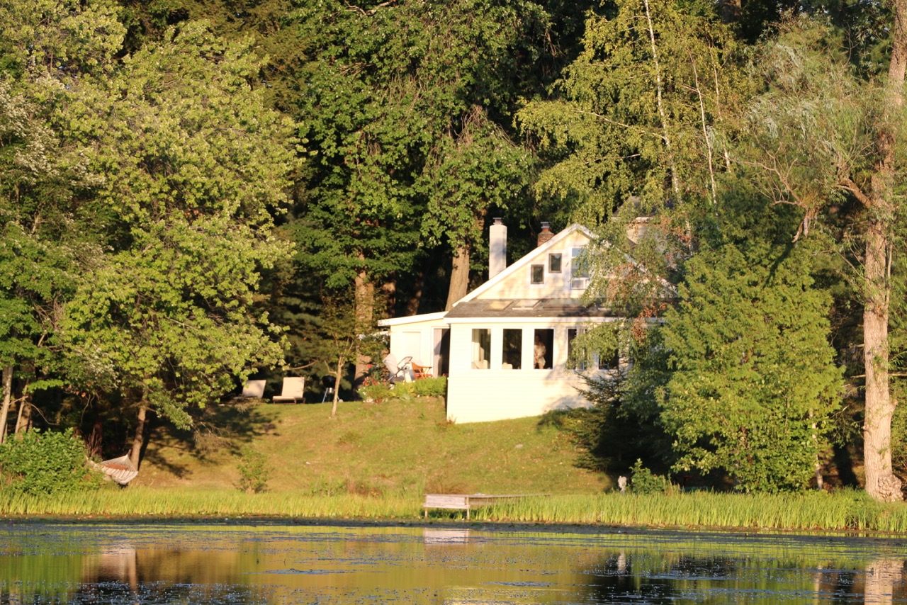 view from lake1.jpeg