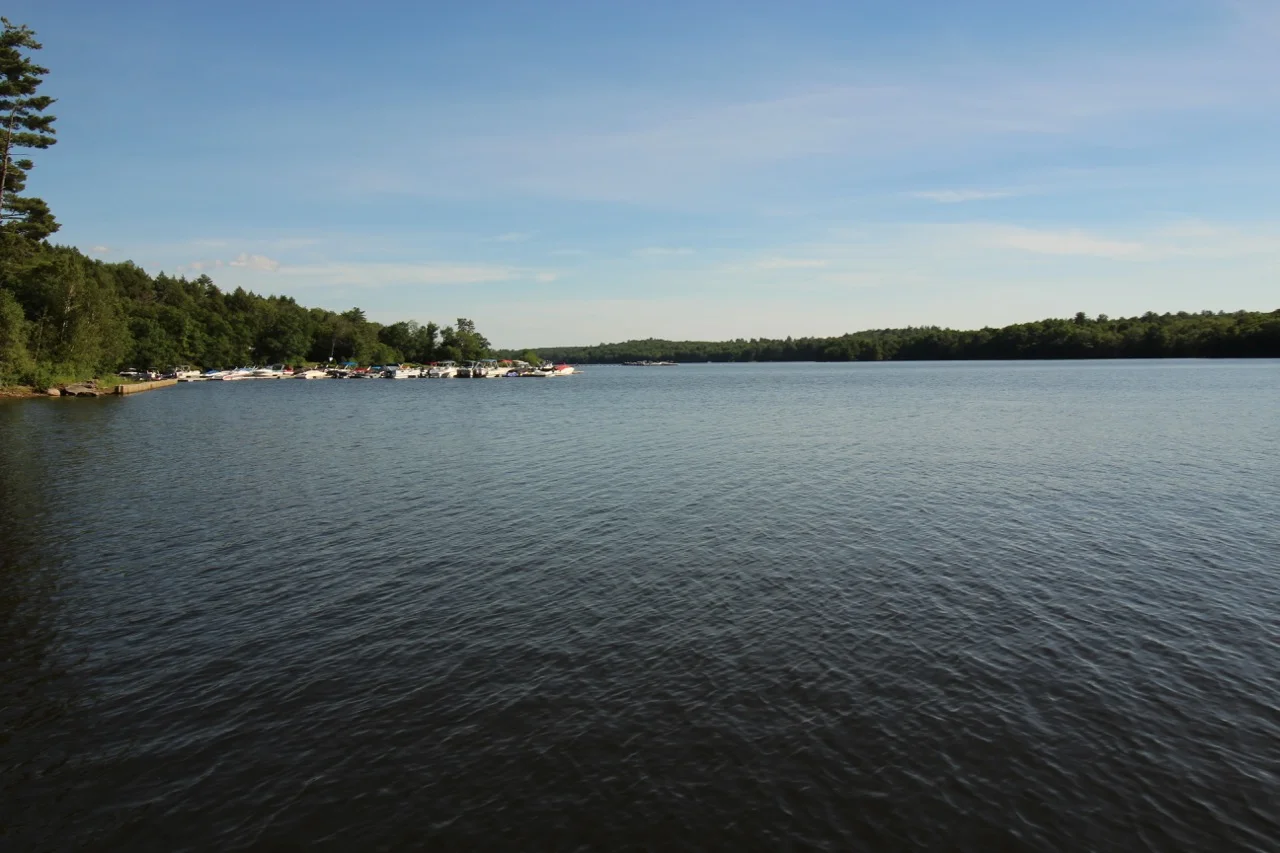 IMG_3151.jpg