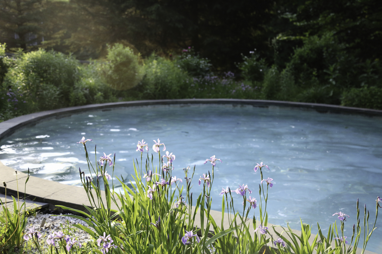 HUBERT HOUSE FLOWERS AND POOL.jpg
