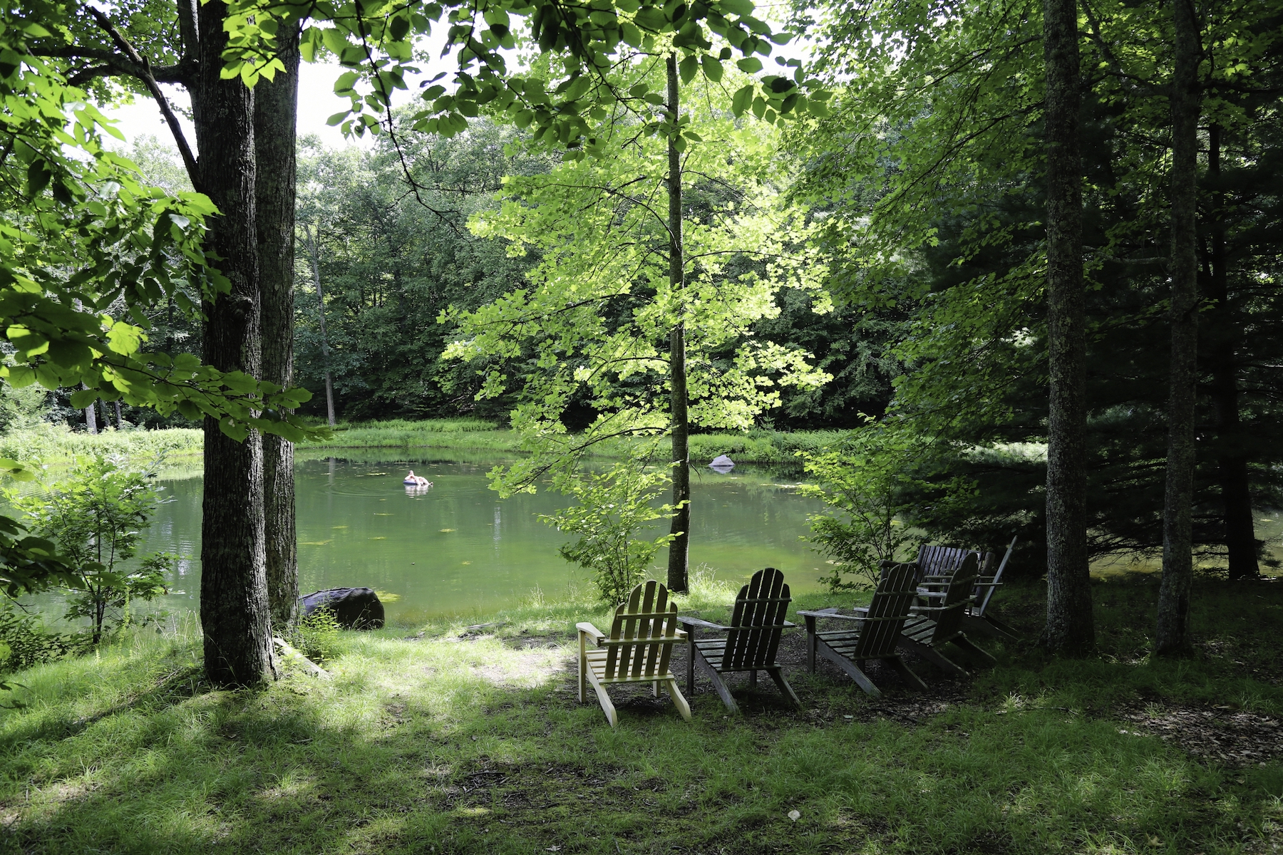 POND 3.jpg