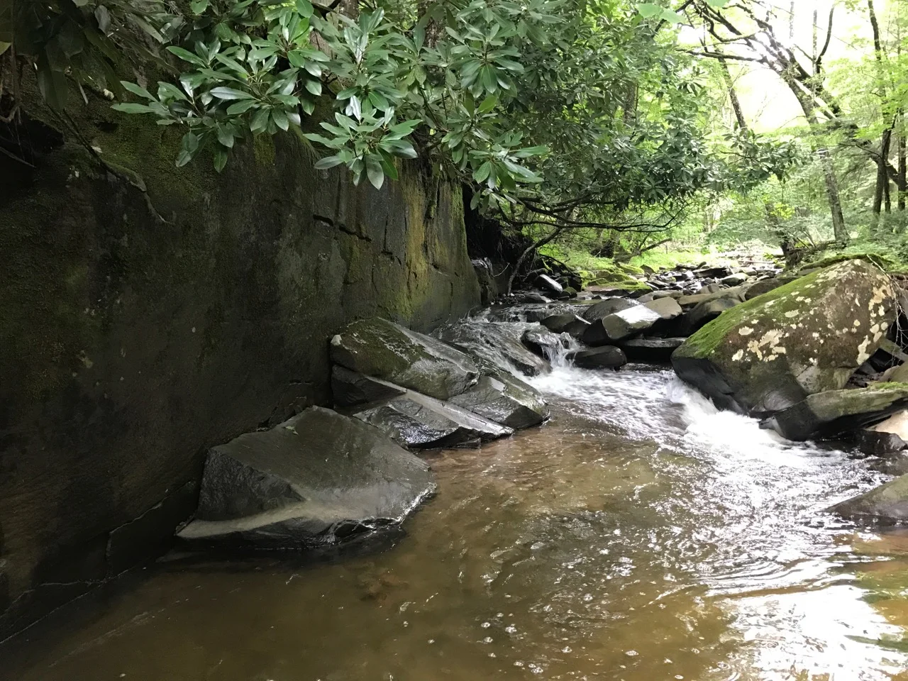 Delightful Catskills cabin near Callicoon with hot tub, wood stove, and