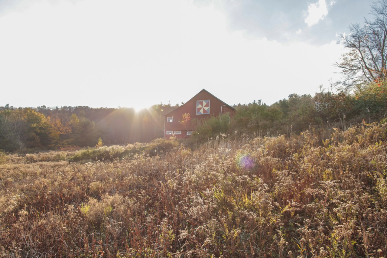 brackman_farm-17.jpg