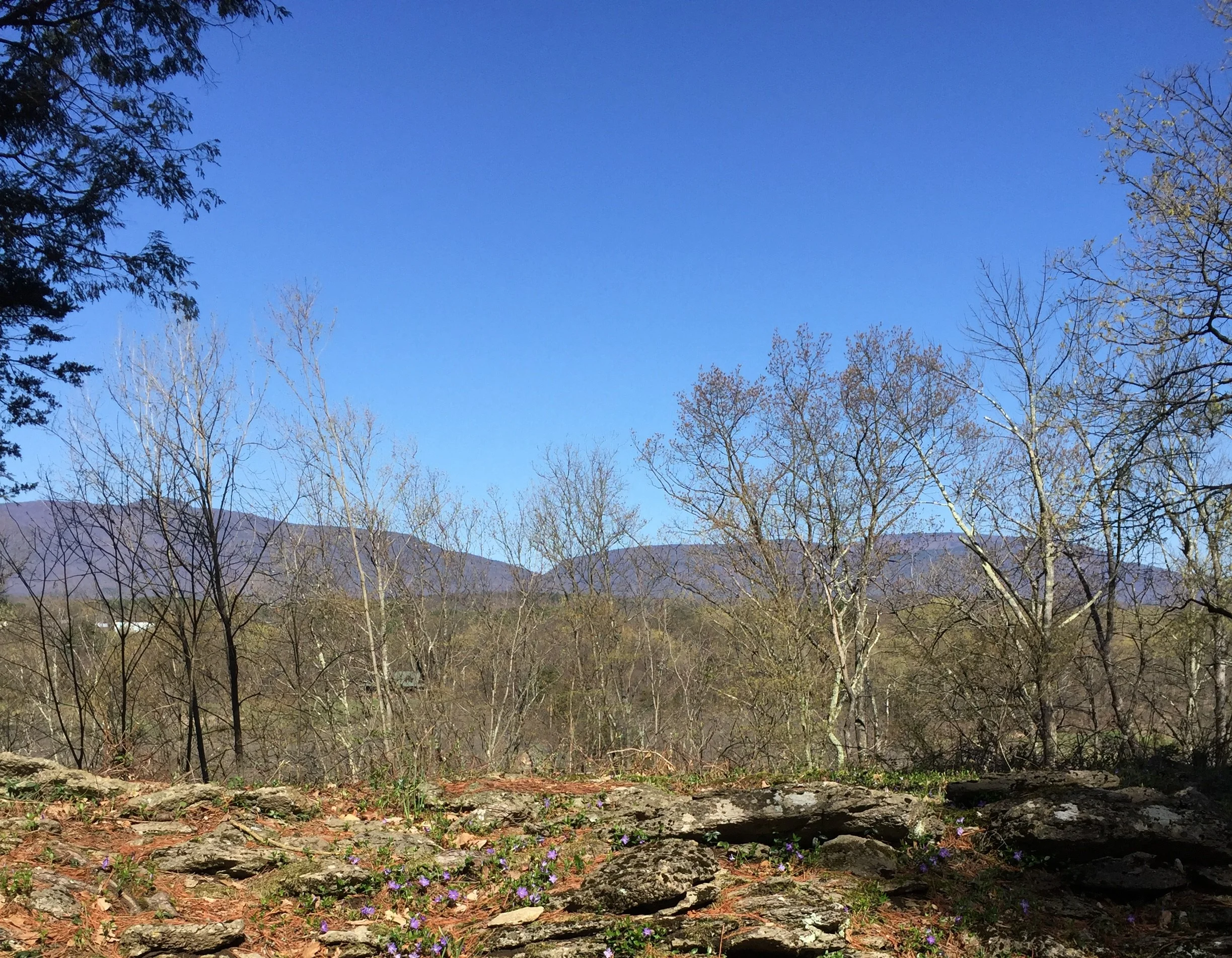 5. spring view.jpg