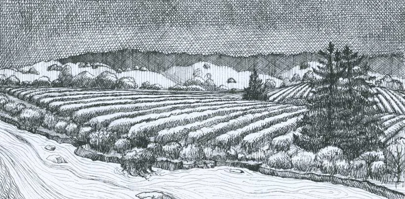 Martini Winery Del Rio wine label