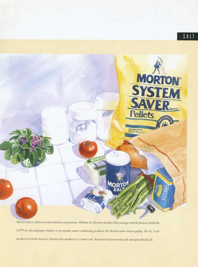 Morton Salt Annual Report