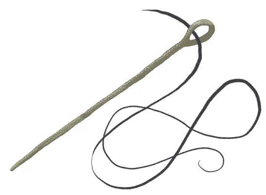 SOH_needle_f.jpg