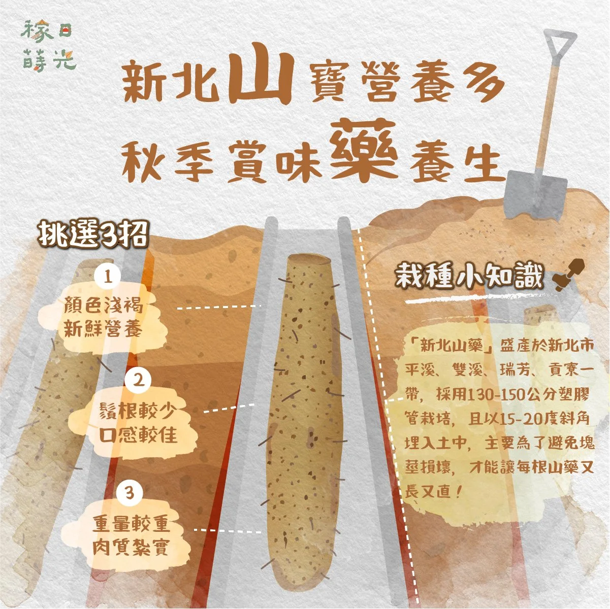 1Artboard 1 copy-1.jpg