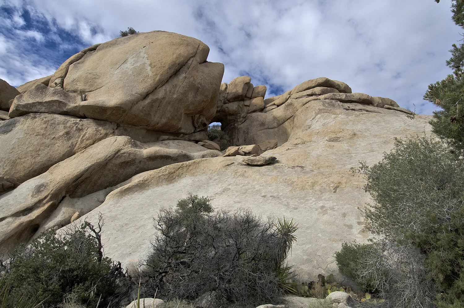 DSC_2874.jpg