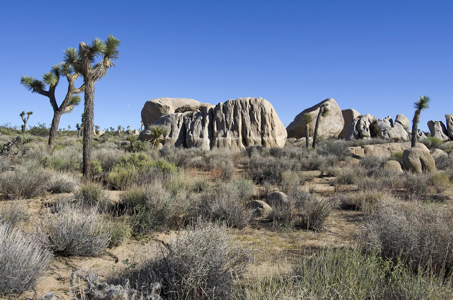 The Old Erosional Level - very distinct on the rocks straight ahead.