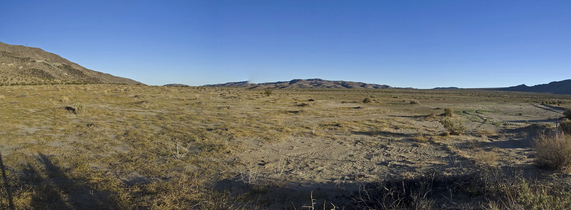 Cattle Ranching