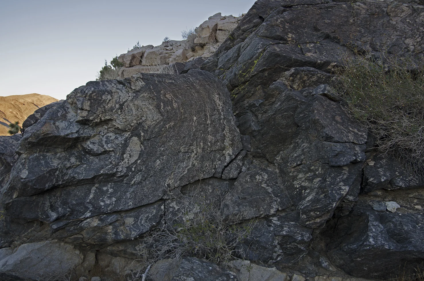 Pinto Gneiss and Lichen