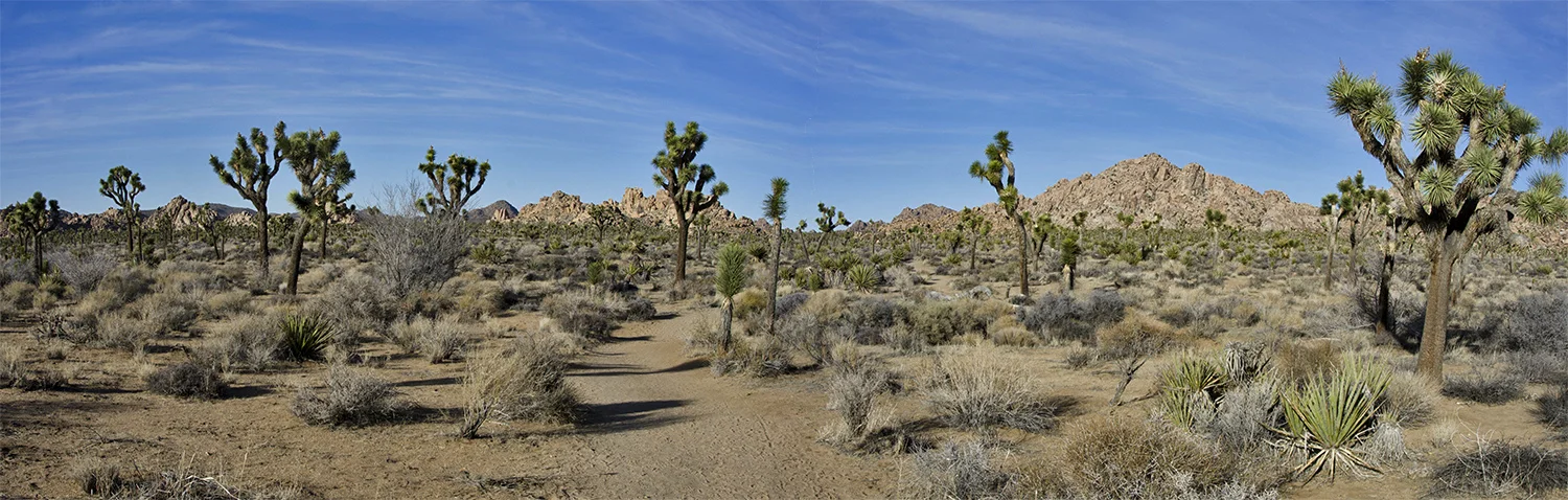 DSC_7184Pano.jpg