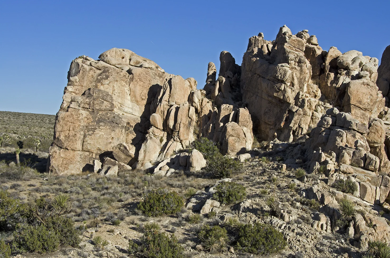 Reef Rock