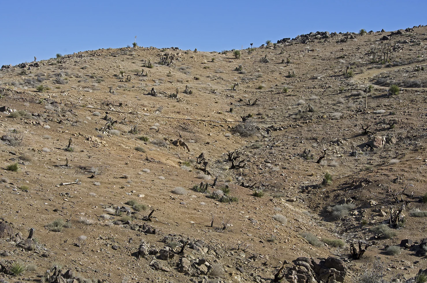A stretch of the pipeline that brought water from Lost Horse Wells to the Lost Horse Mine. This picture was taken very close to the mine site.