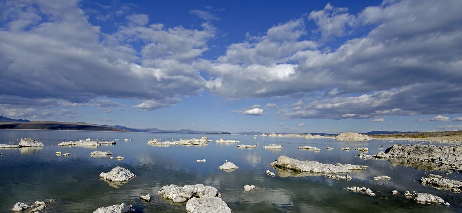 DSC_4209.jpg