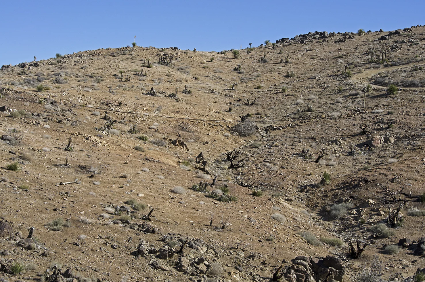 Here's a good view of part of the pipeline that brought water from Lost Horse Wells (3-1/2 miles distant) to the mine.
