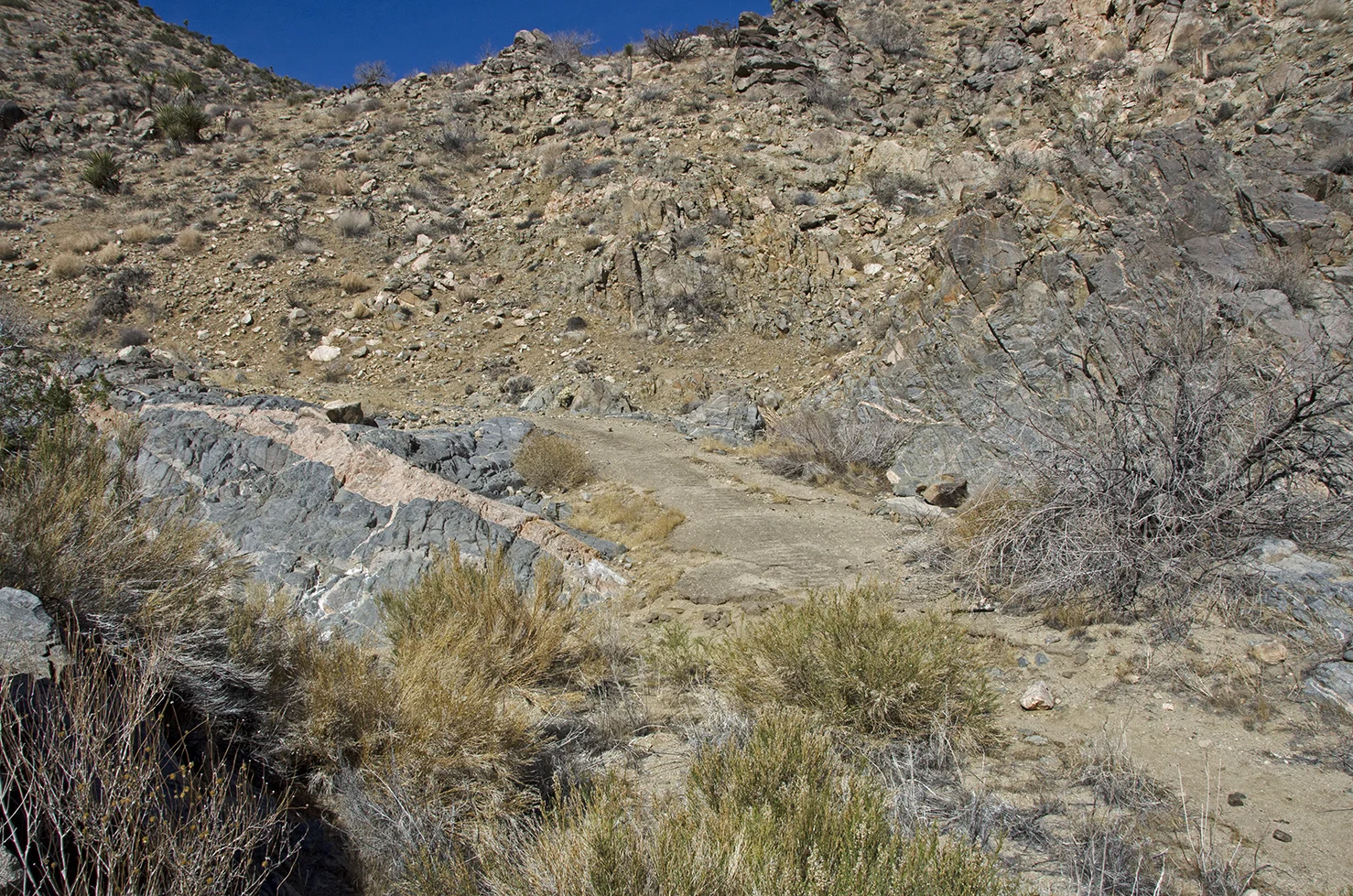 DSC_7263.jpg