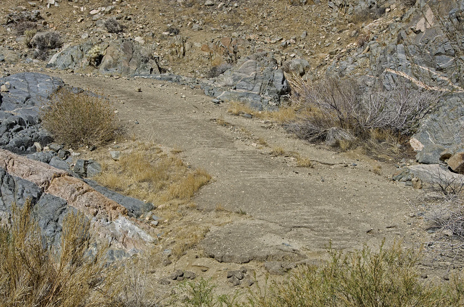 DSC_7264.jpg